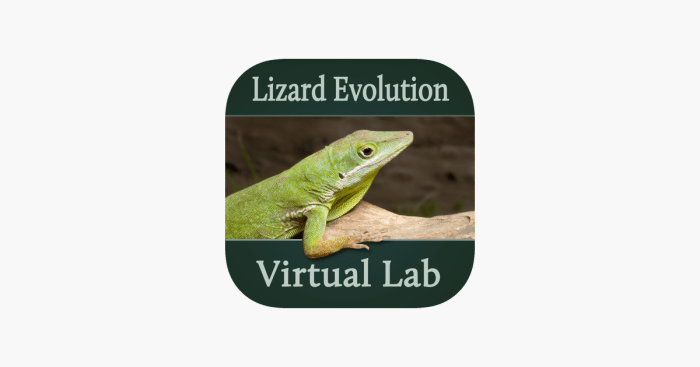 Virtual lab lizard evolution answers