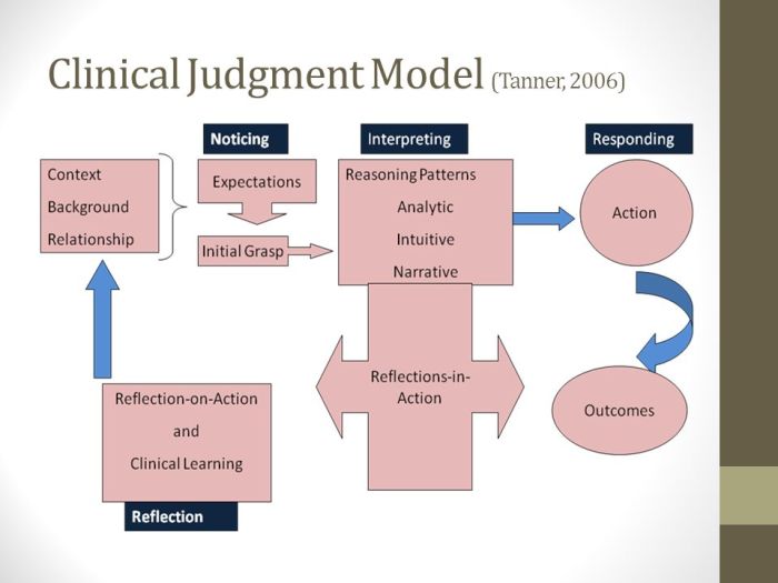 Tanner model of clinical judgement