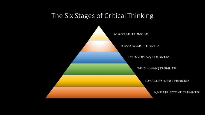 Dlc 313 the critical thinking process