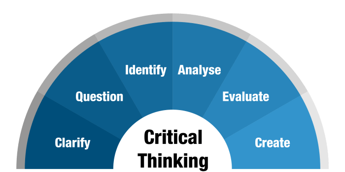 Dlc 313 the critical thinking process