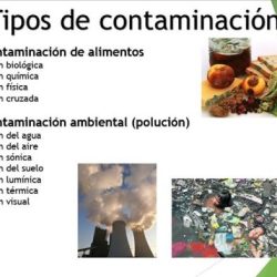 Que es una contaminacion fisica