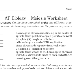 Meiosis video handout answer key