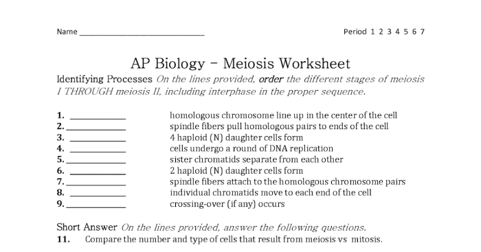 Meiosis video handout answer key