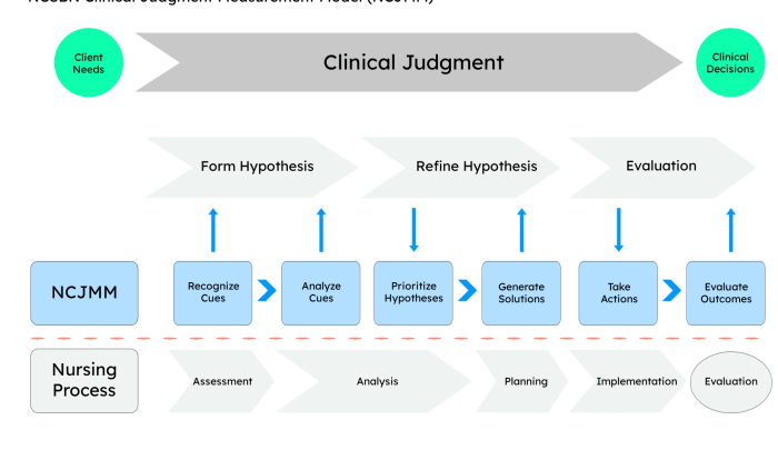 Tanner model of clinical judgement