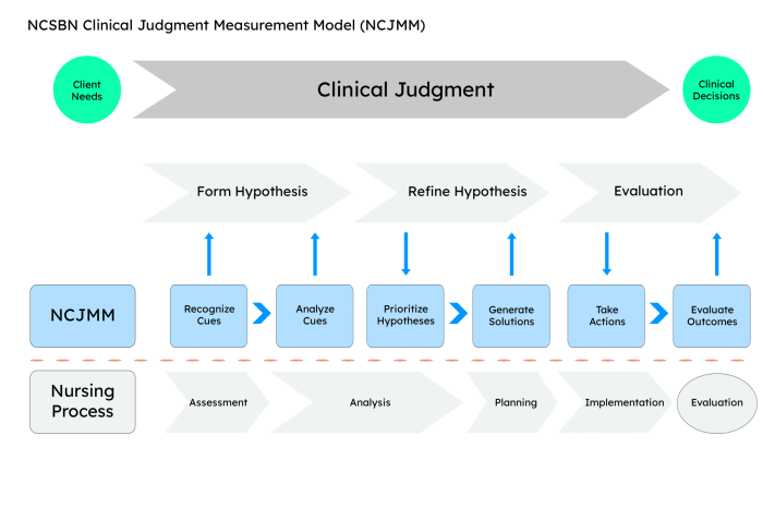 Tanner model of clinical judgement