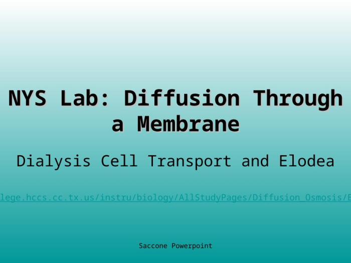 Diffusion through a membrane lab nys