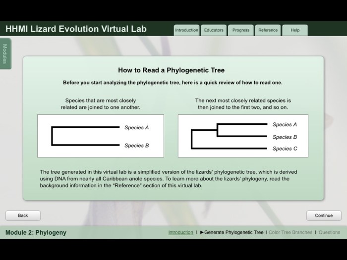 Virtual lab lizard evolution answers