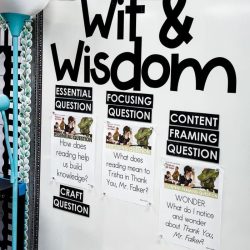 Wit and wisdom craft stages