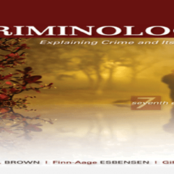 Criminology a sociological understanding 7th edition