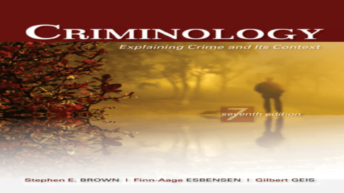 Criminology a sociological understanding 7th edition