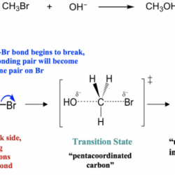 Select the properties of the sn2 reaction mechanism