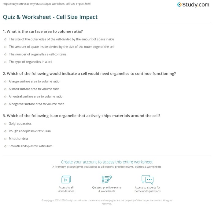 Cell size is limited by surface area worksheet answer key